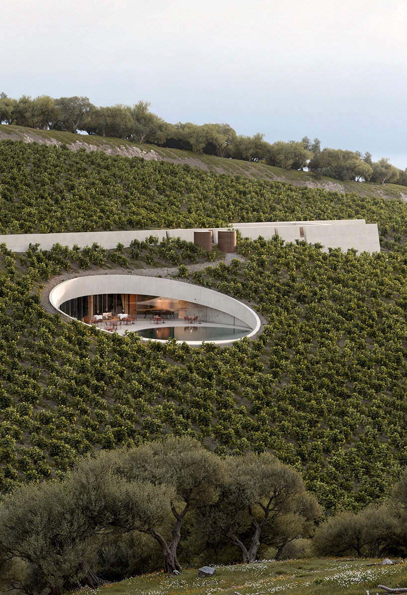 Circular cutting in the vineyard reveals Fotis Zapantiotis's underground wine