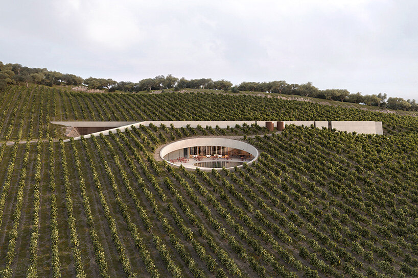 Circular cutting in the vineyard reveals Fotis Zapantiotis's underground wine