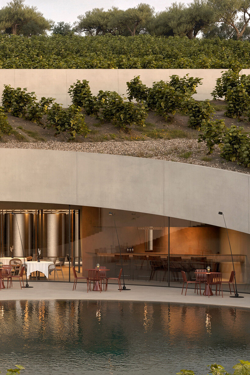 Circular cutting in the vineyard reveals Fotis Zapantiotis's underground wine