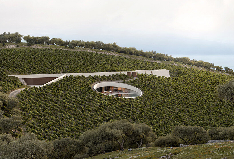 Circular cutting in the vineyard reveals Fotis Zapantiotis's underground wine