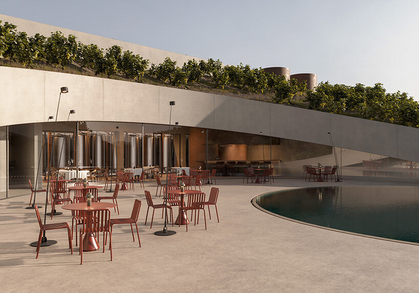 Circular cutting in the vineyard reveals Fotis Zapantiotis's underground wine