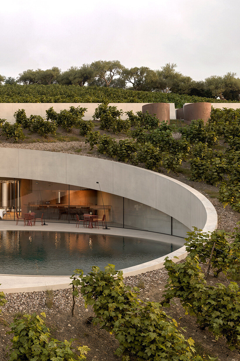 Circular cutting in the vineyard reveals Fotis Zapantiotis's underground wine