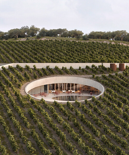 circular cut in the vineyard reveals fotis zapantiotis' underground winery in greece