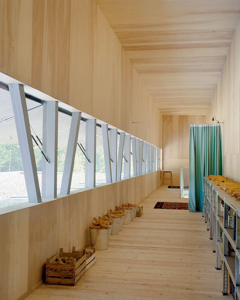 vivid rippled panels envelop TEN's care-based housing for women in bosnia-herzegovina