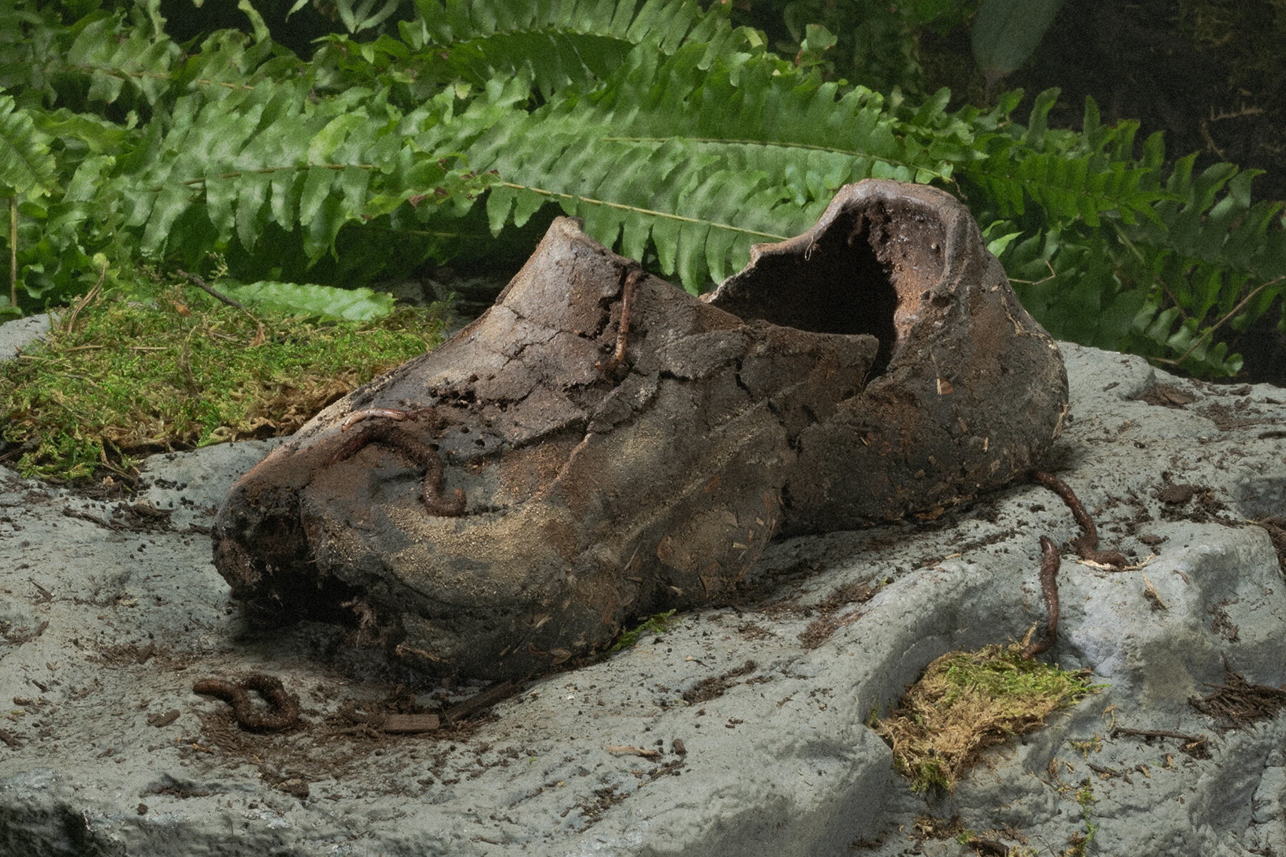 compacted-dirt-seeds-basura-shoes-wildflowers-yerba-madre-designboom-large01