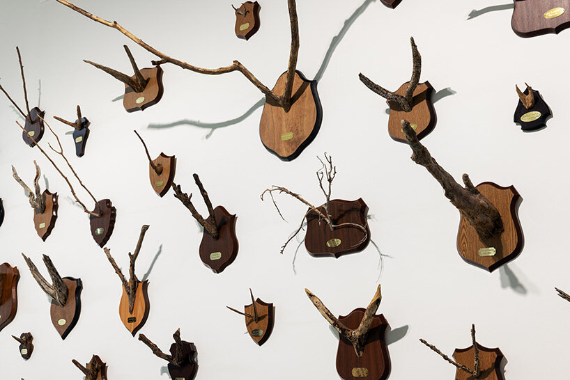 'why look at animals?' at EMST: katerina gregos on speaking for the voiceless