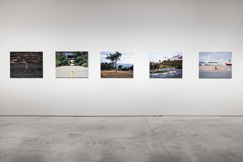 'why look at animals?' at EMST: katerina gregos on speaking for the voiceless