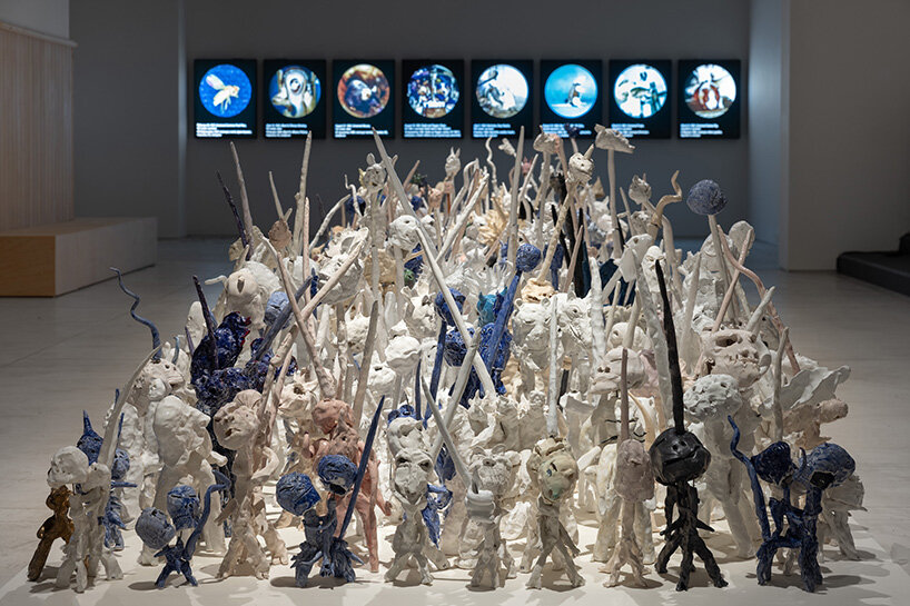 'why look at animals?' at EMST: katerina gregos on speaking for the voiceless