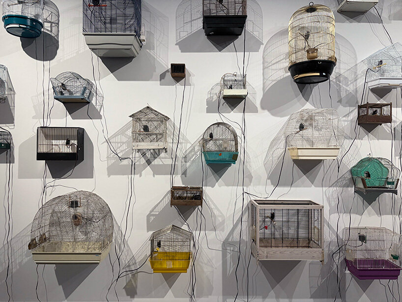 'why look at animals?' at EMST: katerina gregos on speaking for the voiceless