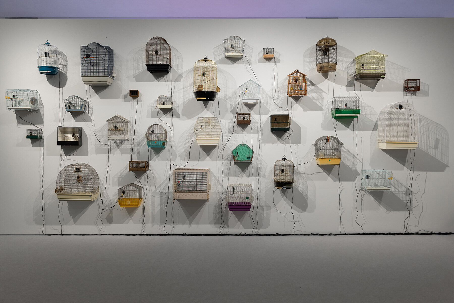 emst-animals-katerina-gregos-voice-athens-interview-designboom-large01