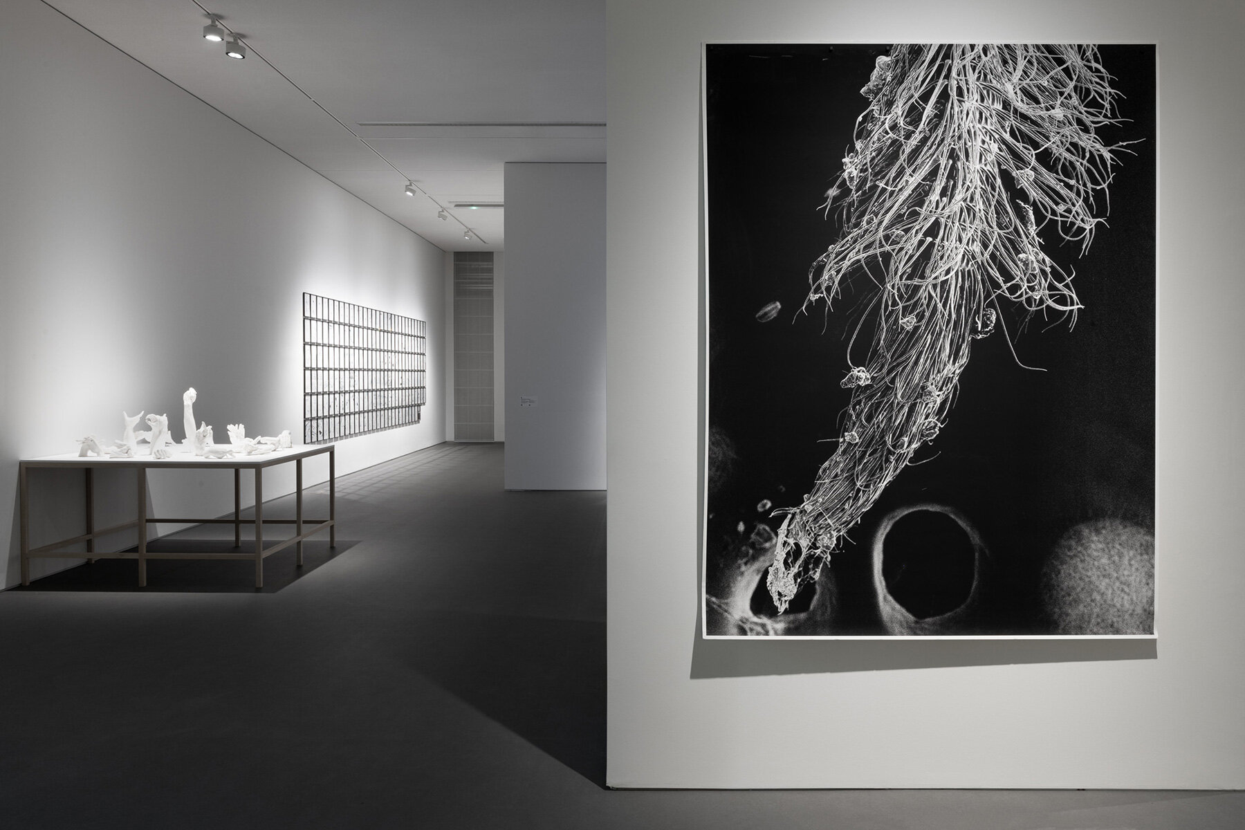 emst-animals-katerina-gregos-voice-athens-interview-designboom-large02