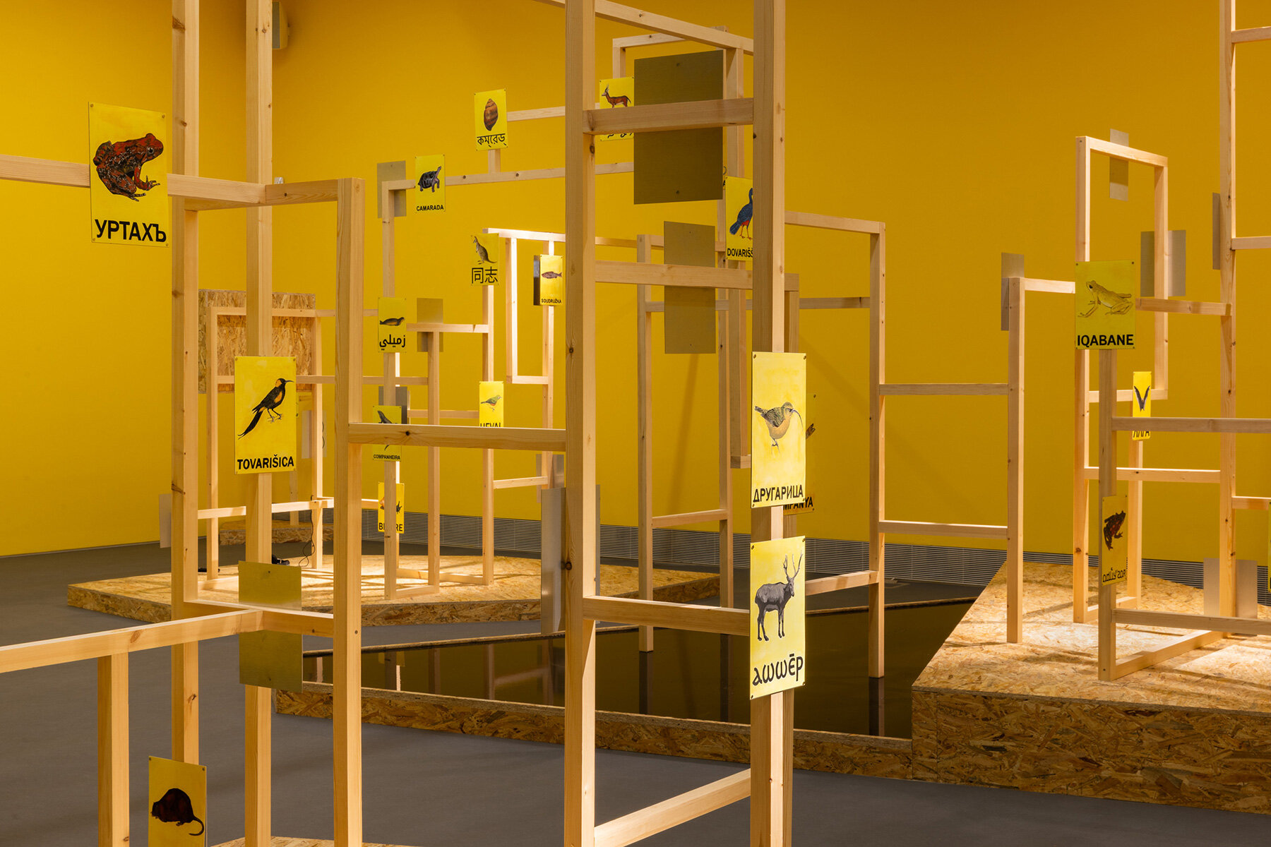 emst-animals-katerina-gregos-voice-athens-interview-designboom-large03