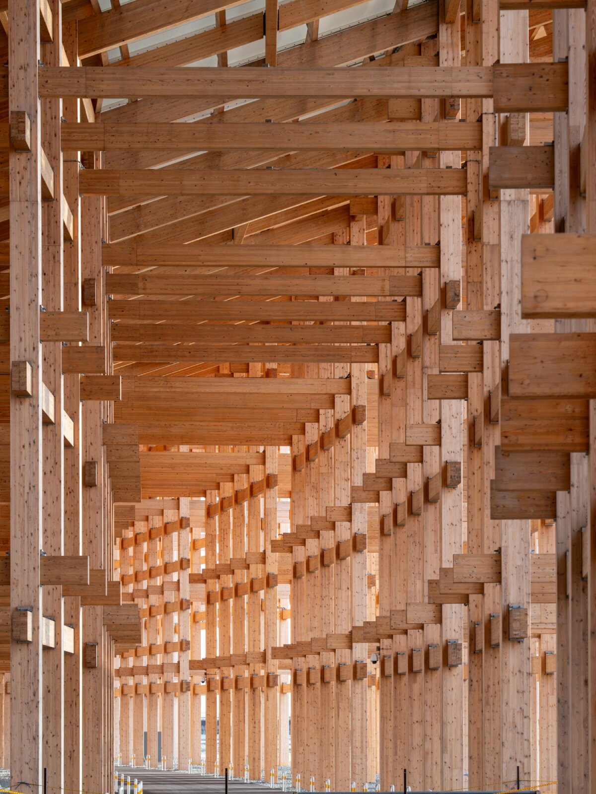 William Mulvihill menangkap material intisasi cincin besar Sou Fujimoto di Expo 2025 Osaka