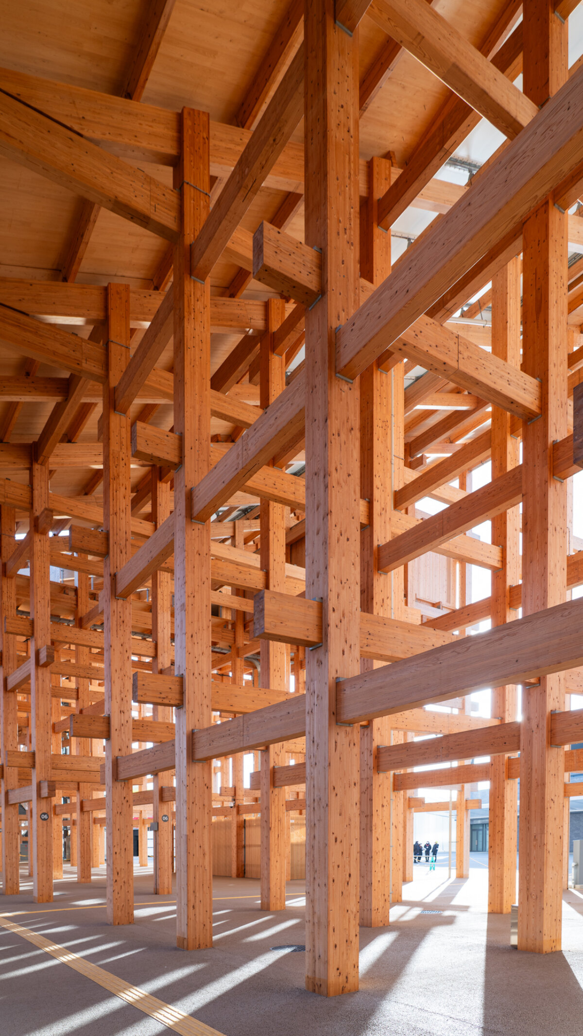 William Mulvihill menangkap material intisasi cincin besar Sou Fujimoto di Expo 2025 Osaka