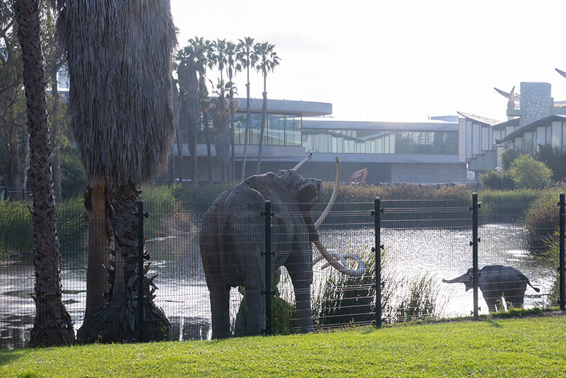 first look inside LACMA's peter zumthor-designed galleries through the lens of iwan baan