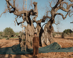 artists turn ecological grief into memory for 'memo. remembering the futures' exhibition