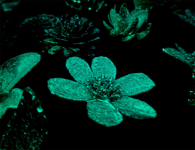 glowing meadow of 3D printed flowers by stuart semple takes over jersey zoo in the UK