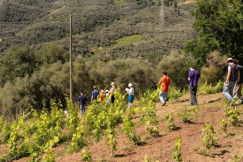 'the world needs it': michael kaethler on IED’s social ecological design for urgent change