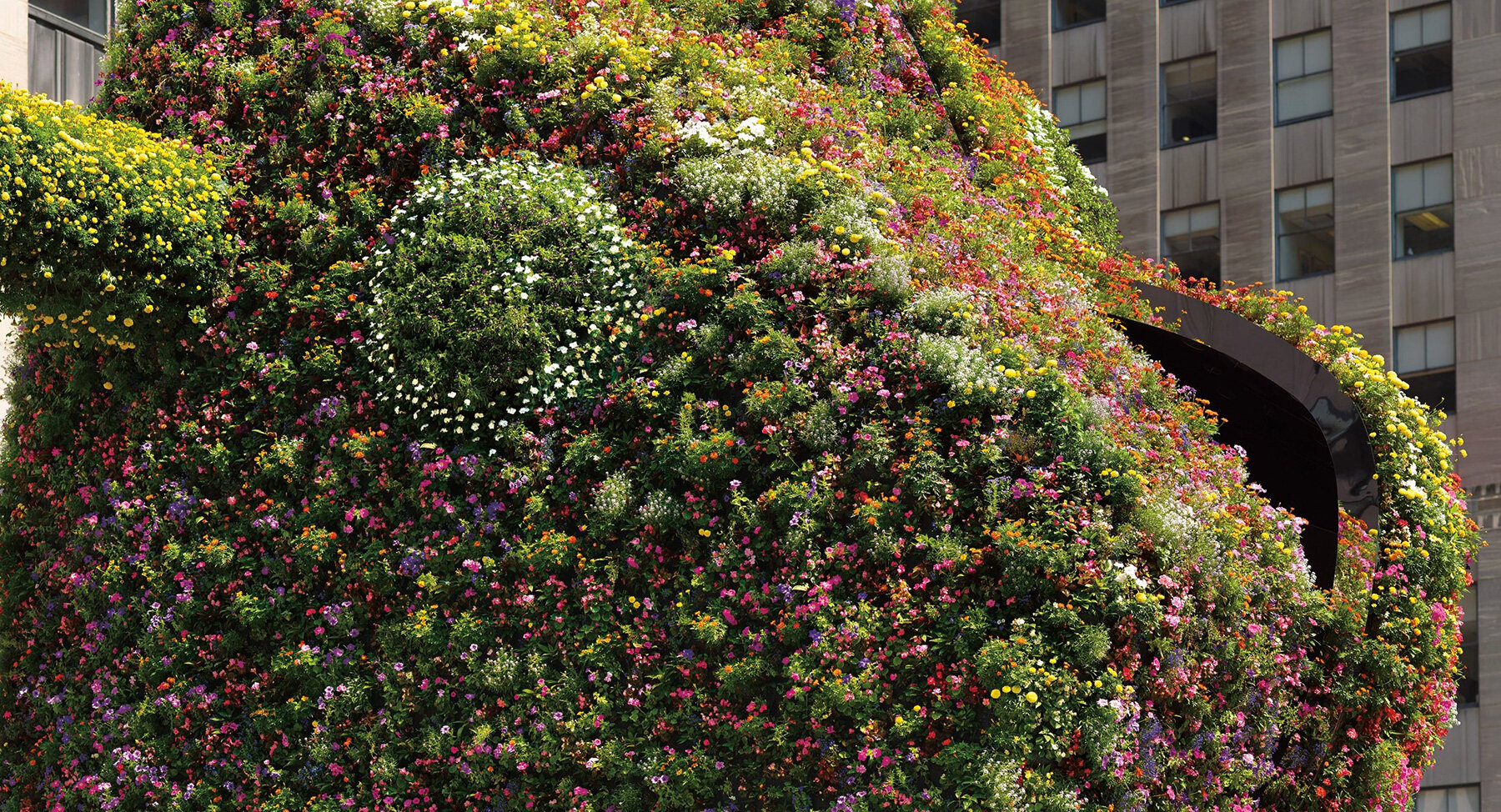 jeff-koons-floral-split-rocker-lacma-upcoming-los-angeles-building-designboom-large01