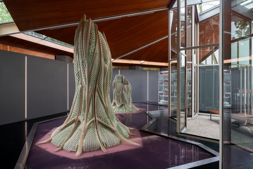 3D printed biostructures venice