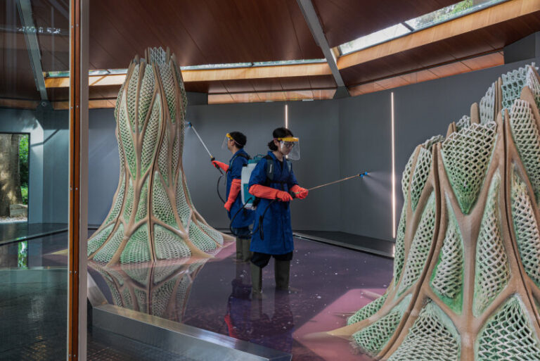 3D printed biostructures capture carbon dioxide at venice biennale