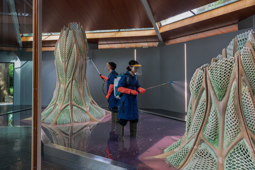 3D printed biostructures venice