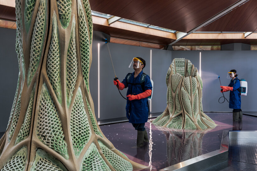3D printed biostructures venice