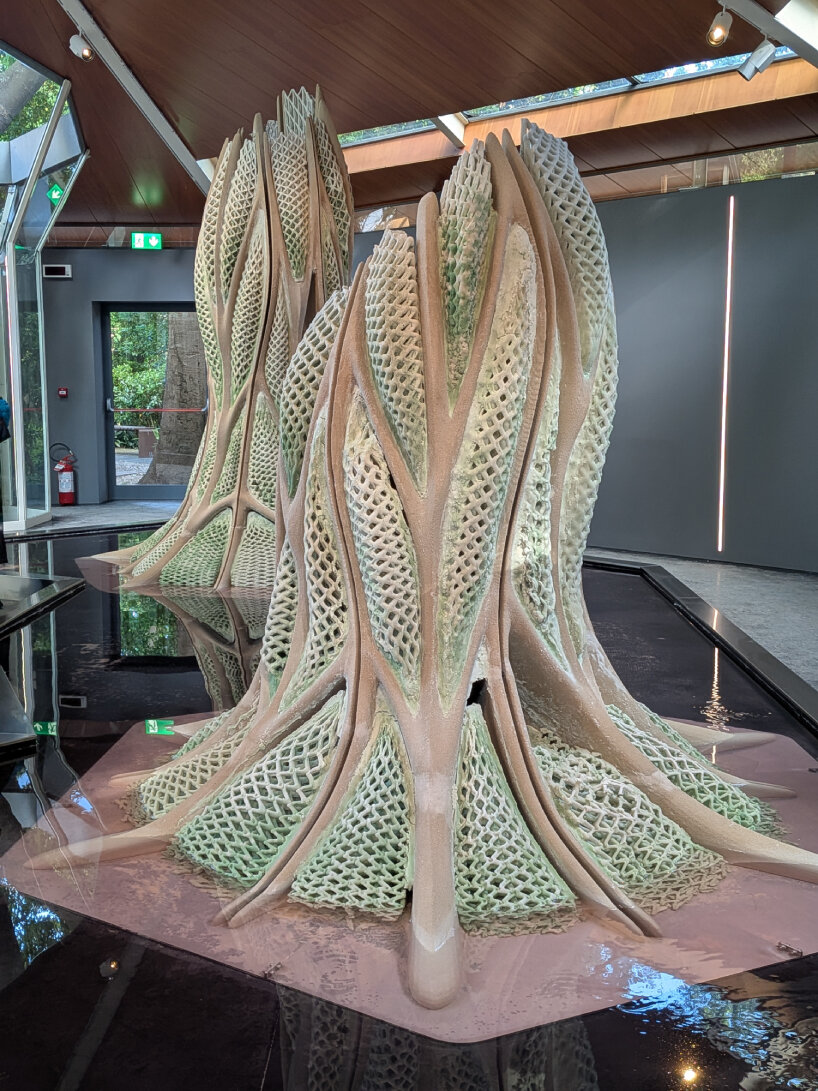 3D printed biostructures venice