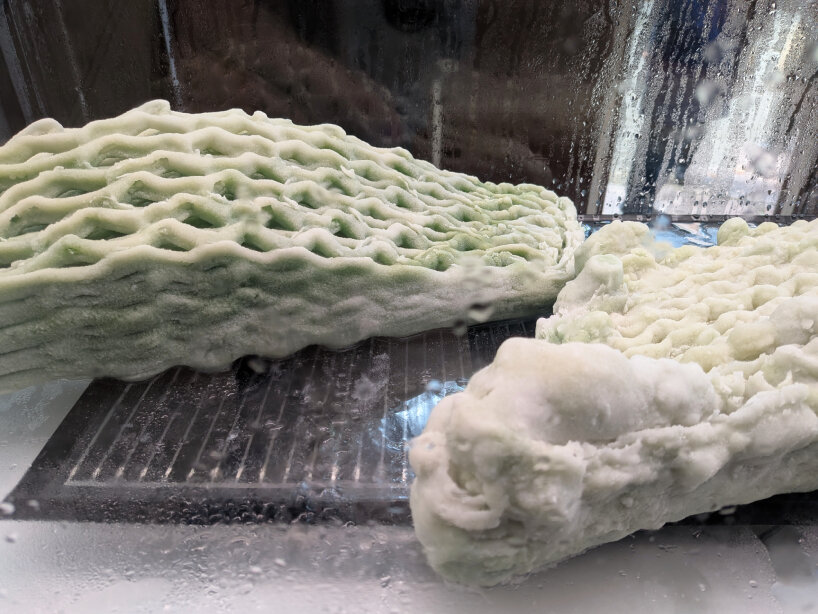 the research team has used ancient metabolic processes for Picoplanktonics | image © designboom