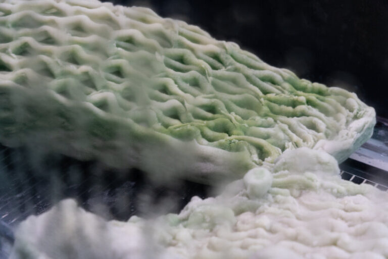 3D printed biostructures capture carbon dioxide at venice biennale