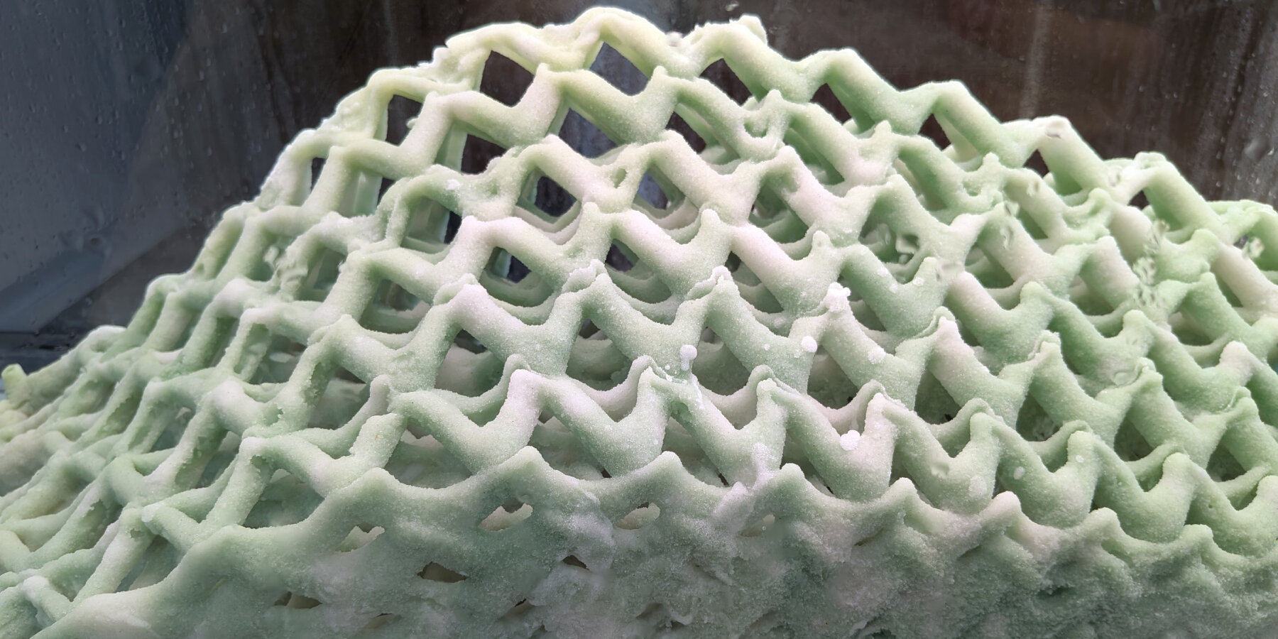 living-room-collective-cyanobacteria-3D-printed-structures-canada-pavilion-venice-architecture-biennale-2025-interview-desigboom-ban
