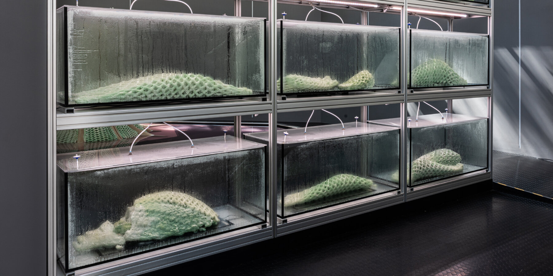 living-room-collective-cyanobacteria-3D-printed-structures-canada-pavilion-venice-architecture-biennale-2025-interview-desigboom-ban2