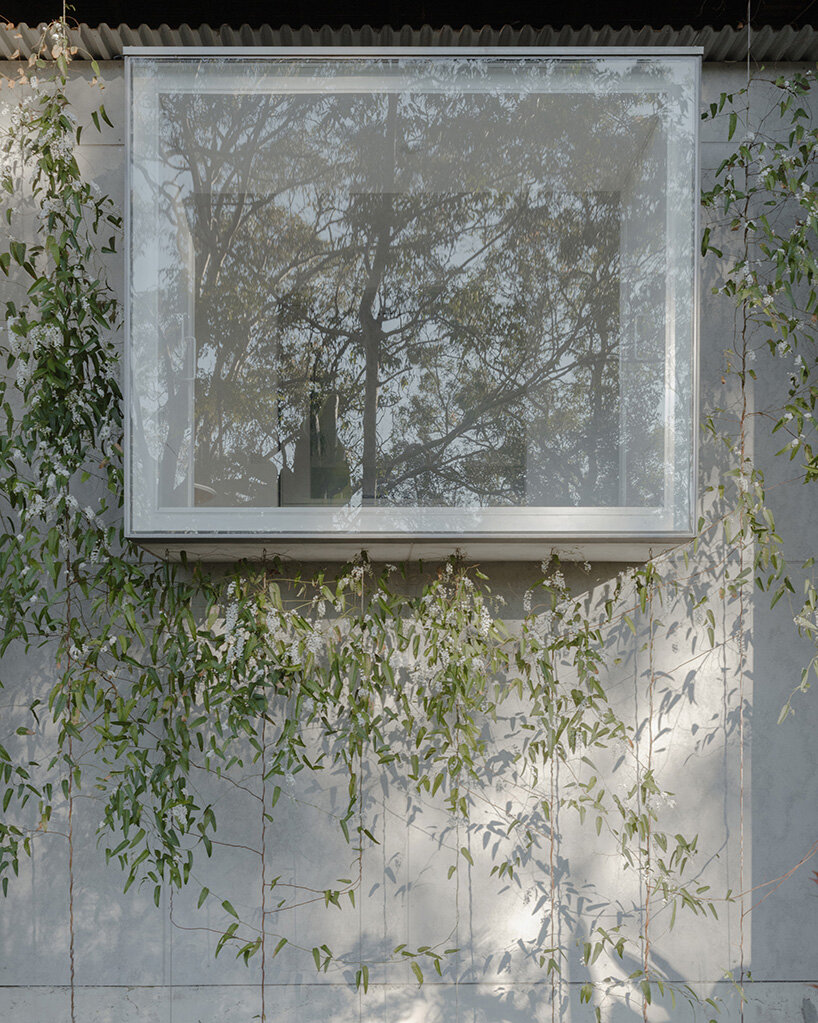 panov scott window house