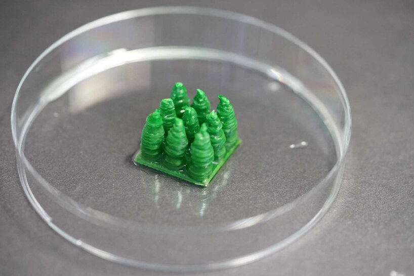 building material store carbon