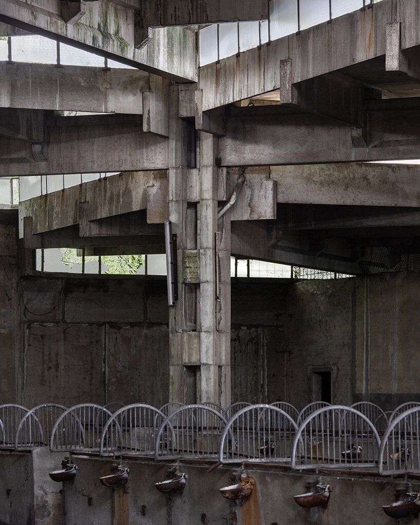 roberto conte captures italy's modernist cattle market in fading concrete form