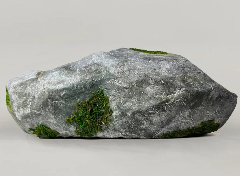 rock shoes canyaon bravest