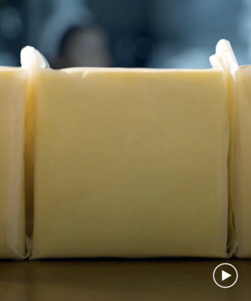 self-packing cheese: biodegradable packaging made of whey & waste decomposes on its own