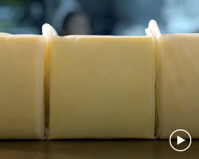 self-packing cheese: biodegradable packaging made of whey & waste decomposes on its own