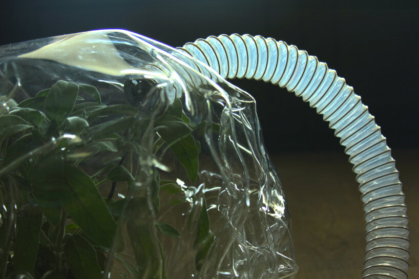 Yolanda Uriz's Chemical Calls of Care