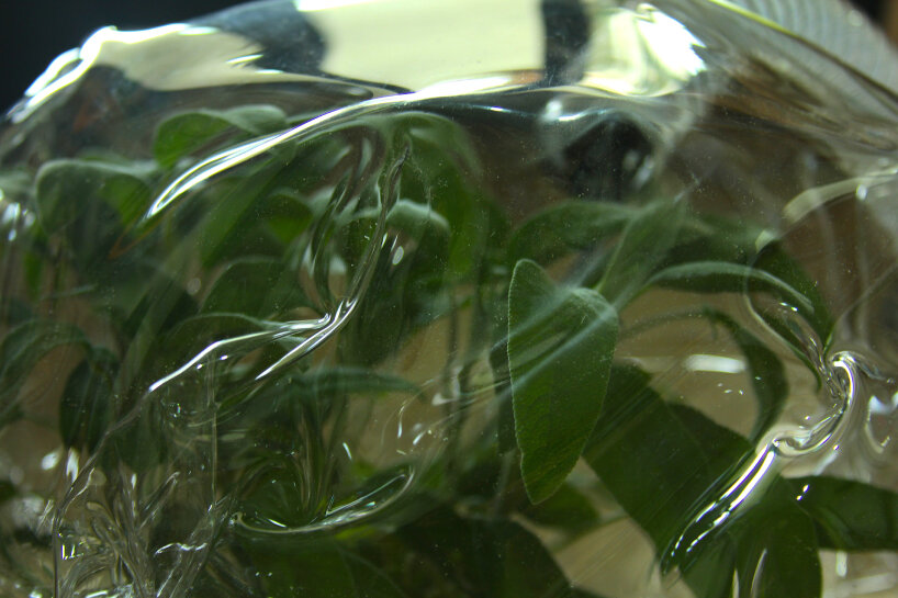 Chemical Calls of Care (2024), an interactive installation on audio-olfactory communication | image courtesy of Yolanda Uriz