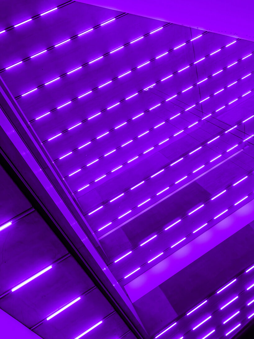 Bass presents an immediate, dynamic interplay between light, color, and sounds