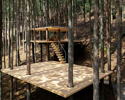 tree trunks pierce through elevated sauna shelter by DAICHI in japanese forest