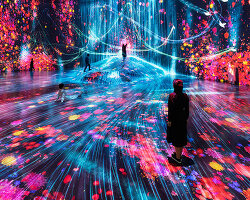 UBS digital art museum to open in 2026, bringing europe's largest teamLab show to hamburg