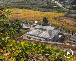 undulating roof crowns 50-year-old farmhouse renovation by drawing works in korea