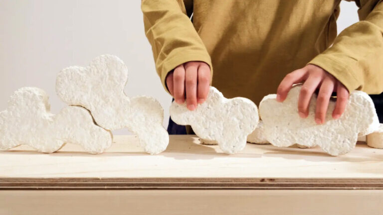 MYMORI’s biomaterial kit lets kids grow mushroom mycelium toy