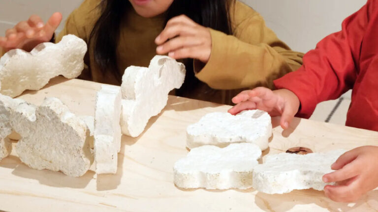 MYMORI’s biomaterial kit lets kids grow mushroom mycelium toy
