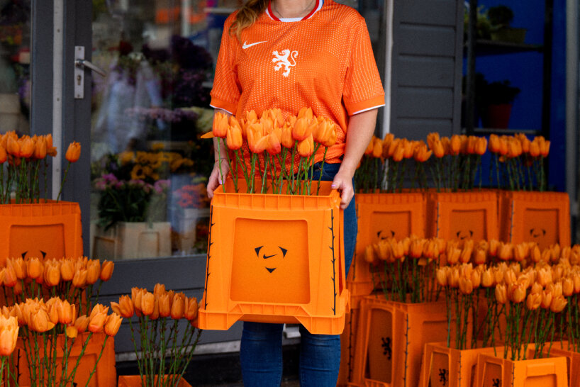 orange tulips euro 2025