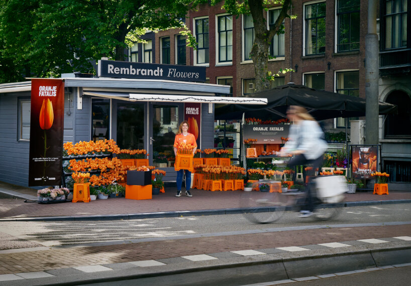 orange tulips euro 2025