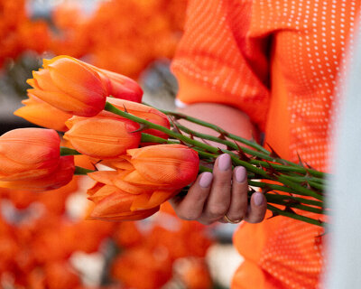 NIKE co-grows new breed of orange tulips with thorns in time for UEFA women’s euro 2025