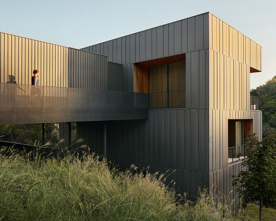 alterstudio's falcon ledge residence climbs a steep ravine outside austin, texas